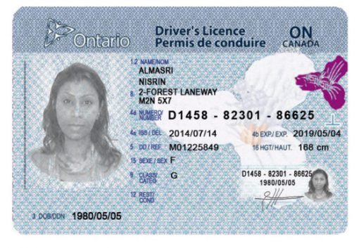 Canadian driver license