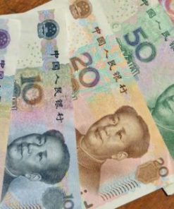 fake Chinese Yuan(Renminbi) online