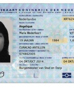 real  Netherlands  identity card online