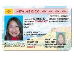 New Mexico Driver license online