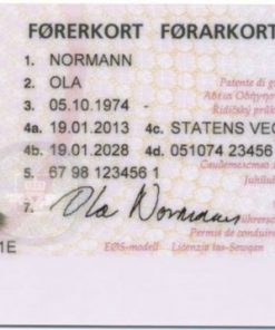 Norwegian driver license online