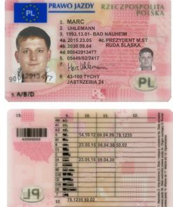 Polish driver license online