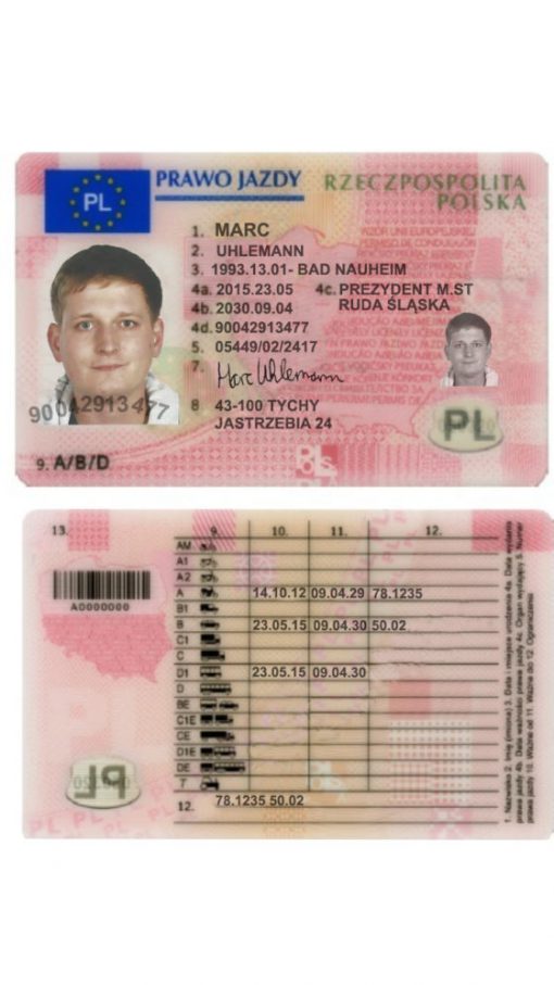 Polish driver license online