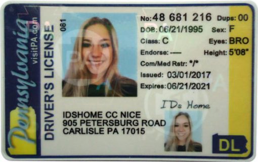 Pennsylvania driver license online