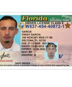 United States driver license online