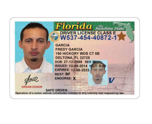 United States driver license online