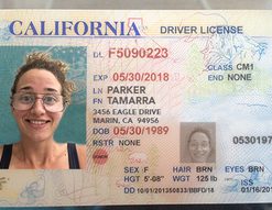 California driver’s license online