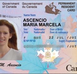 Canadian identity card online