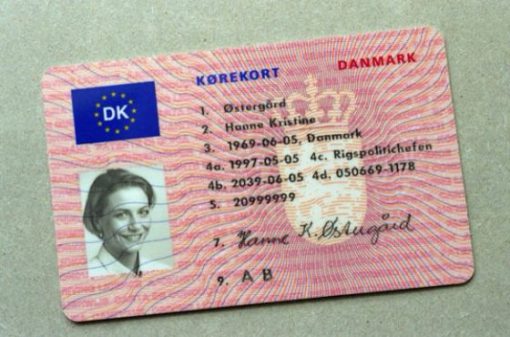 Danish driver license online