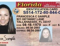 Florida identity card for sale