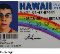 Hawaii driver license online