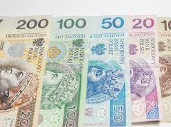 fake Polish Zloty Online