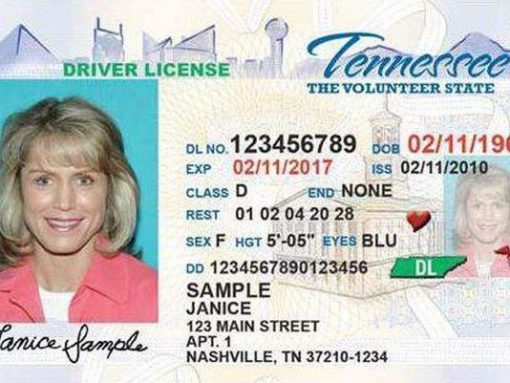 Tennessee driver’s license online